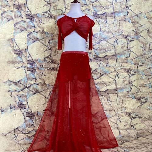 Belly Dance Set V-Neck Mesh Top Split Skirt Practice Clothes Suit Female Adult Elegant Profession Performance Clothing