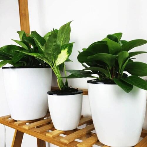 12 18cmAutomatic Water Absorbing Lazy Flower Pot Succulent Plant Bonsai Plastic Tray Hydroponic Potted Storage Container