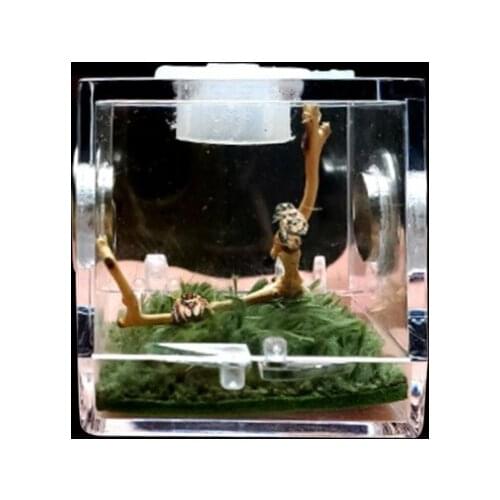 Spider Habitat Feeding Cage Nano Breeding Box for Spiders Grasshopper Cricket Scorpions Mantis Beetle and Small Reptile