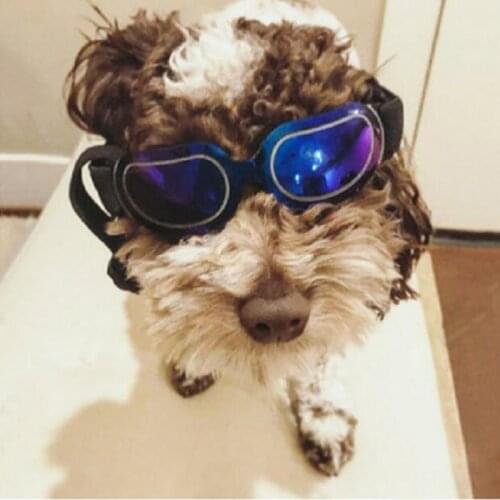 Pet Products Lovely Vintage Round Cat Sunglasses Reflection Eye Wear Glasses For Small Dog Cat Pet