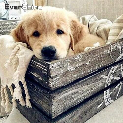 EverShine 5D Diamond Embroidery Animals Diamond Painting Dog Handmade Picture Of Rhinestones Home Decor Cross Stitch Kits