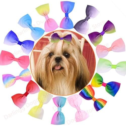 50pcs Pet Dog Hair Clips Dog Candy-color Dog Hair Accessories Dog Grooming Pet Supplies