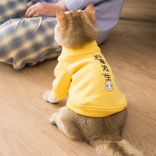 Pet clothes for small dogs cats spring summer Thin breathable vest T-shirt collar satchel cat dog clothing for chihuahua teddy