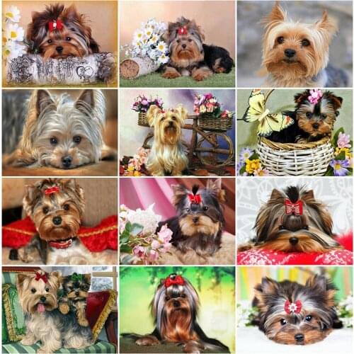 Diamond Embroidery Dog Diamond Mosaic Picture Rhinestones Diamond Painting Full Square Yorkshire Terrier Beaded Art