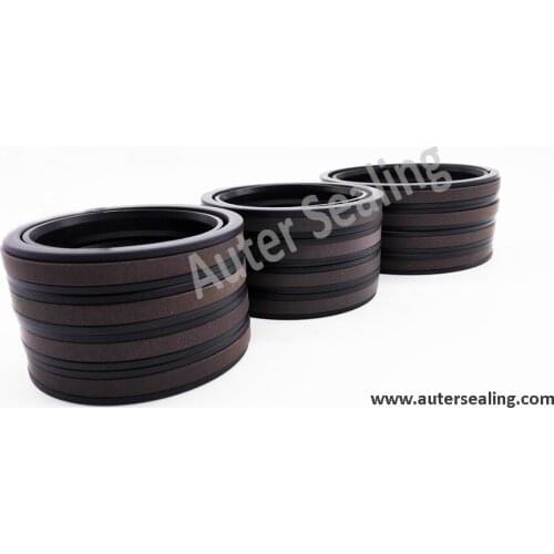 SPGW 11 Sizes PTFE compact seal hydraulic cylinder parts PTFE BRONZE / NBR / POM PDH rubber ring