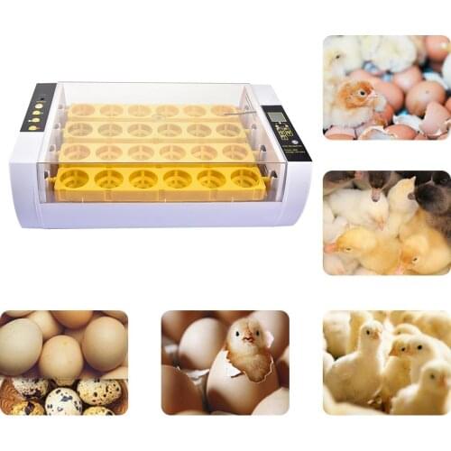 Newest Farm Fully Automatic Incubator Brooder Machine 24 Egg Hatchers Cheap Price Chicken Eggs Incubator Bird Quail Brooder