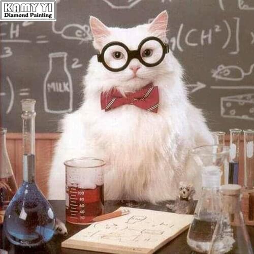 100% Full Square 5D Diy Daimond Painting Cross-stitch White Cat Teacher 3D Diamond Painting Rhinestones Paintings Embroidery