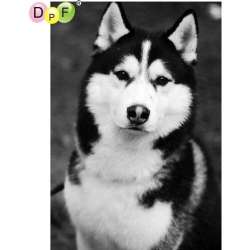 DPF Black and white dog home decor diamond mosaic square diamond painting cross stitch crafts diamond embroidery wall painting