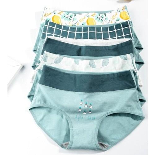 LANGSHA 5Pcs/lot Panties Women High Waist Cotton Underwear Body Shaping Seamless Briefs Soft Breathable Girls Slimming Panty XXL