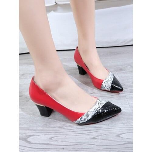 Fashion Small Fresh Two Wear Single Shoes Spring&Autumn Thick with Shallow Mouth Womens Shoes Elegant Square Head High Heels