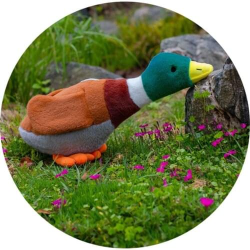 45/55/65CM Baby Playing Accompany Doll Wild Duck Soft Plush Pillow Lifelike Animal Wild Duck Toy Sofa Cushion Home Decoration
