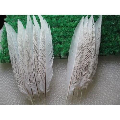 Wholesale rare silver white chicken feathers 50 pcs 40-45 cm / 16-18 inch silver feather carnival