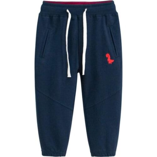 Baby Boys Dinosaur Sports Trousers For Girls Spring Summer Autumn Teenage Toddler Casual Kids Clothes 2-7 Years Children Pants