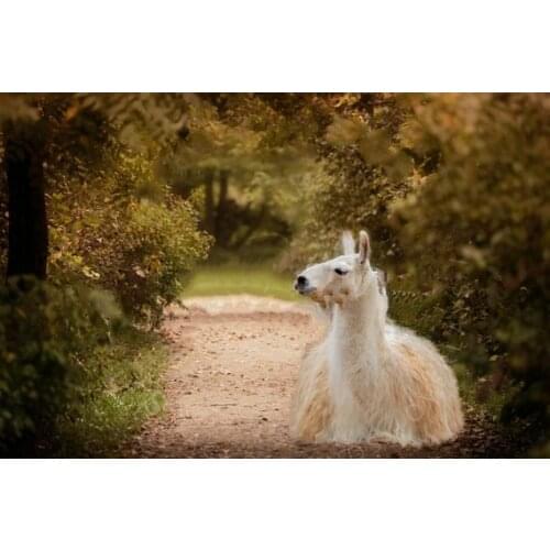 Autumn llama fall green leaves leaf backgrounds High quality Computer print children kids backdrops