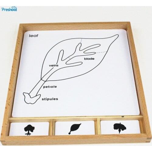Montessori Kids Toy Baby Botany Puzzle Activity Set Learning Educational Preschool Training Brinquedos Juguets