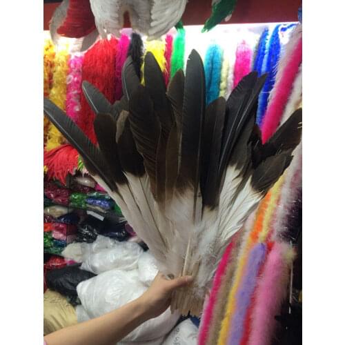 Perfect a sets carce natural golden eagle feathers 12-20inch /30-50cm