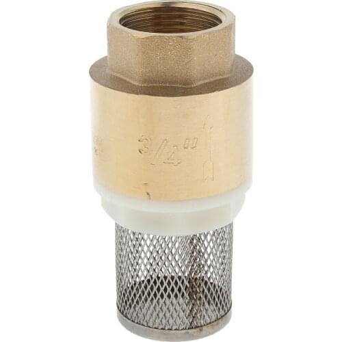 Brass Foot Valve Mesh Check Valve With Strainer Filter letting liquid to flow in and keeping it from flowing back out