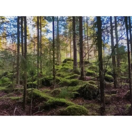 Paint by Numbers Kits for Adults DIY 40CM*50CM ALI_V_2269