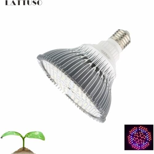 Светодиодные лампы для растений LATTUSO China At AliExpress