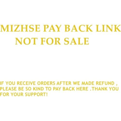 MIZHSE Re-pay Money or Extra Fee Link