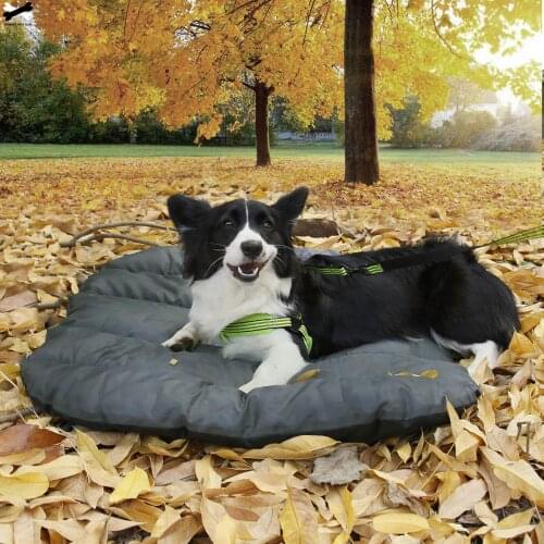 Outdoor dual-purpose soft and breathable dog bed, washable and durable, camping travel foldable pet dog sleeping mat
