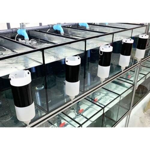 Aquarium Brine Shrimp Incubator Baby Fish Feed Fairy Egg Artemia Alive Hatch Kit T3LE