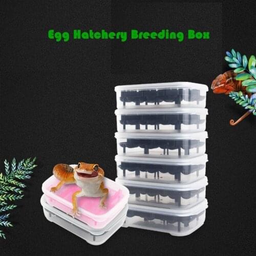 Reptile Hatchery Incubator Snake Lizard Egg Tray Boxes Reptile Breeding Box Tortoise Hatching Eggs Device with Temperature
