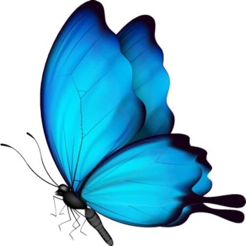 PLAY COOL Cute Decorative Butterfly Car Sticker Automobiles Motorcycles Exterior Accessories PVC Decal for Toyota Honda Lada Vw