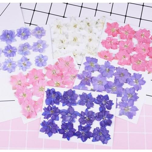 12Pcs Natural Pressed Decorative Dried Flowers Dried Flower Petals Artificial Flowers DIY Phone Case Party Wedding Decoration