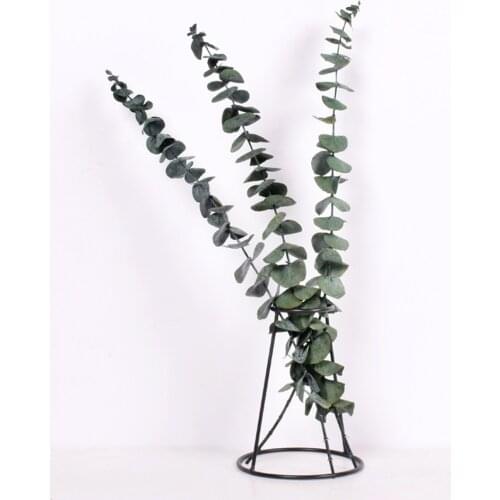 10 Stems samll leaves natural plants 50cm Tall dried eucalyptus branches wedding home decor eucalyptus stems flower No Vase