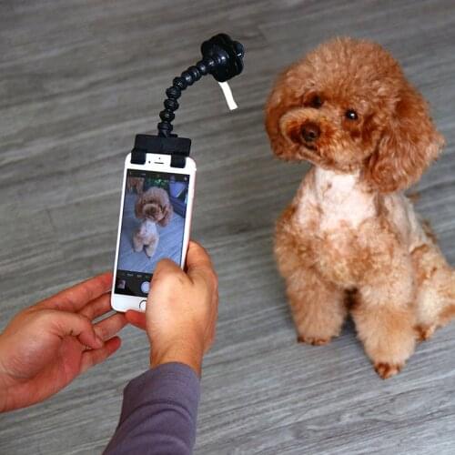 Dog Photography Pet Accessories Pet Selfie Stick Pet Selfie Tool Interaction Toys Dog Concentrate Training Supplies Pooch Selfie