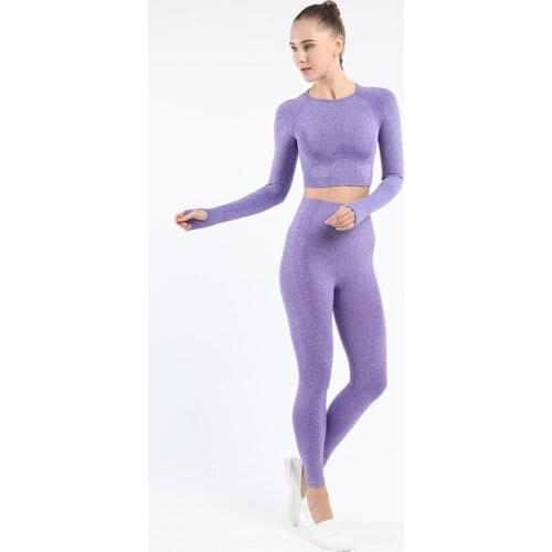 Women Seamless Lulu yoga set Fitness Sports Suits GYM Cloth Yoga Long Sleeve Shirts High Waist Running Leggings Workout YP072