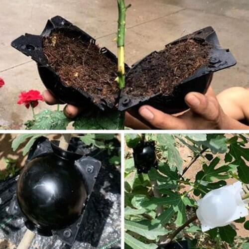 5pcs Plant Rooting Ball Grafting Rooting Growing Box Breeding Case Plant Root Growing Box For Garden 5/8cm In Diameter
