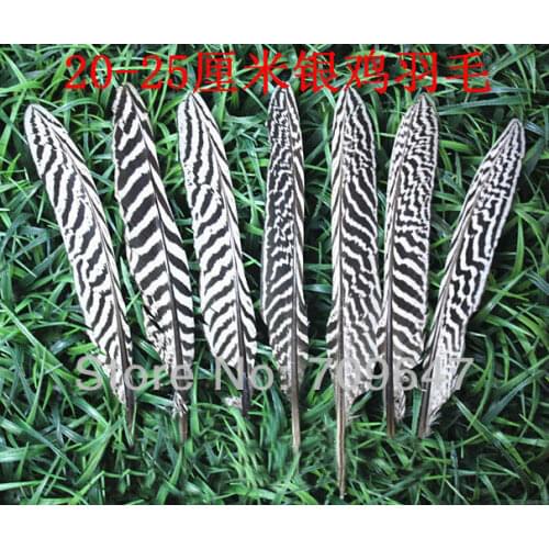 50Pcs/Lot 8-10inch/20-25cm Natural Black and White Stripes Silver Pheasant Quills Feathers!Silver Feather,Feathers Top