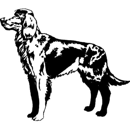 Cartoon Car Stickers Cute and Interesting Pet Dog Car Decoration Accessories Decal Sunscreen Anti-UV Waterproof Black and White