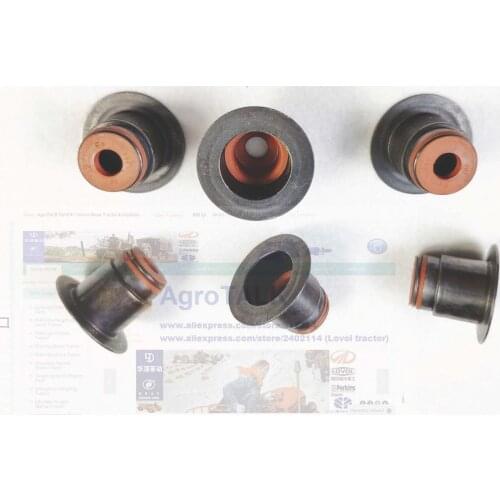 The exhaust valve seal for Shanghai SHANGCHAI D6114B/D9, part number: D04-107-30