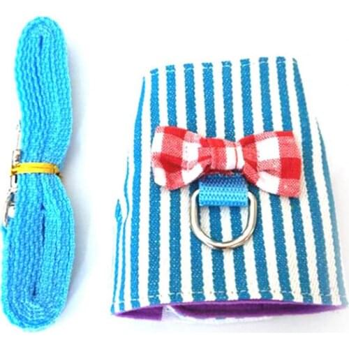 Traction Rope D-ring Design Washable 3 Colors Pet Harness Set for Ferrets Small Animals Collars Fashion Harnesses 2021