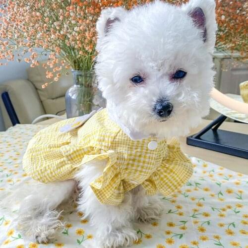 Summer Pet Clothing Small Dog Dress Princess Skirt Puppy Dresses Yorkshire Yorkies Pomeranian Shih Tzu Poodle Bichon Clothes XS