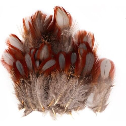 100pcs Approx 4-8cm Natural red pheasant plumage Feather Needlework and Handicrafts Headdress DIY Small Decor Jewelry Creation