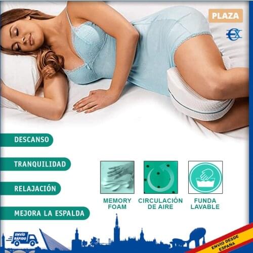 EUROXANTY Large Pillows