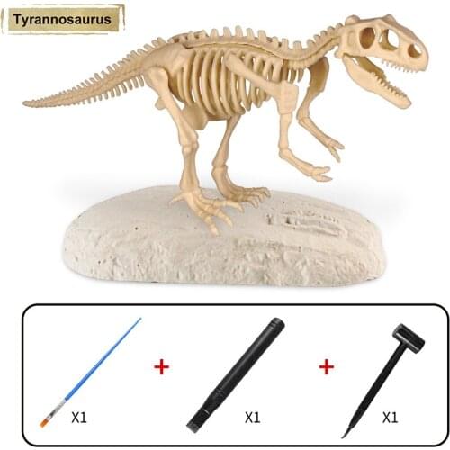 Пособия по биологии Xinjiang China At AliExpress