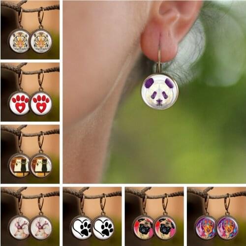 Fashion Earrings for Women Panda Tiger Cute Comic Glasss Creative Dangle Earrings 2019 Female Jewelry Handamde