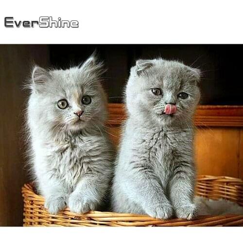 Evershine Diamond Painting Kit Cat Diamond Embroidery Full Display Animals Rhinestones Pictures Diamond Mosaic Sale Home Decor