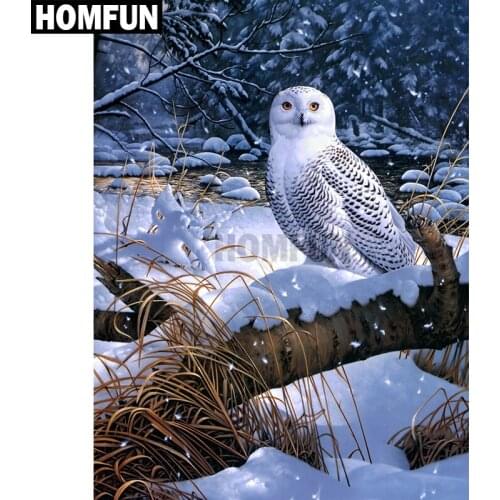 HOMFUN Full Square/Round Drill 5D DIY Diamond Painting "Snow Owl" Embroidery Cross Stitch 5D Home Decor Gift A02566