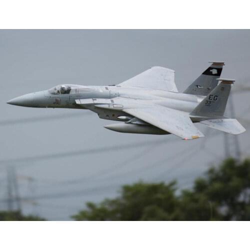 Freewing F-15 90mm RC Jet Airplane Model Kit With Servos Version