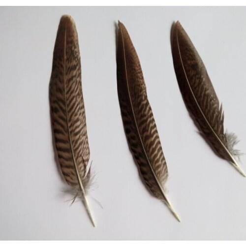Sale of rare pheasant feather 10-15cm of 10 pc, diy handicraft accessories