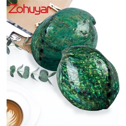 2PCS/set Rainbow Abalone Shell Charm Beach Seashell Pendant Smudging Beach House Decor Natural New Zealand