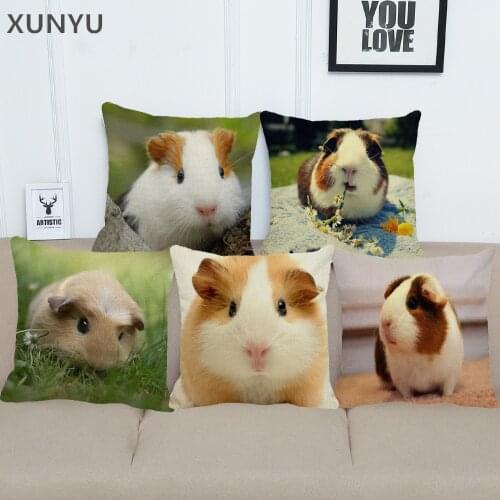 XUNYU Guinea Pig Linen Pillowcase Home Sofa Square Pillow Case Animal Pattern Decorative Cushion Cover 45X45cm BZ214