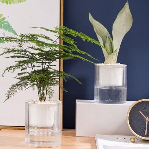 Self-watering Creative Transparent Visual Plant Pot Automatic Water Absorption Hydroponic Pot Flowerpot For Home Garden Deco