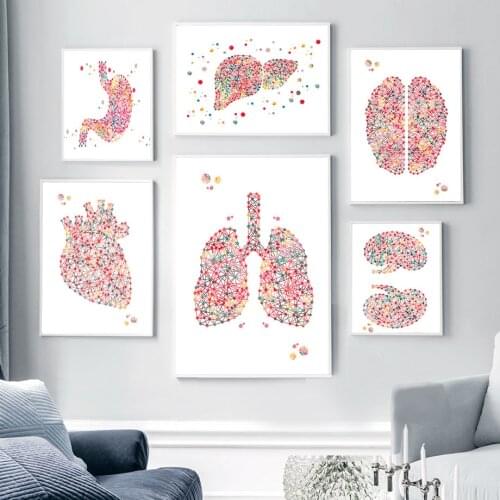 Colorful Brain Heart Liver Kidney Organs Anatomy Wall Art Canvas Painting Posters And Prints Wall Pictures Doctor Office Decor